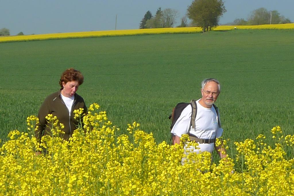 La Petite Varenne Turny Luaran gambar